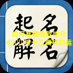 如何准确细致地分 🐎 析十二属相的运势